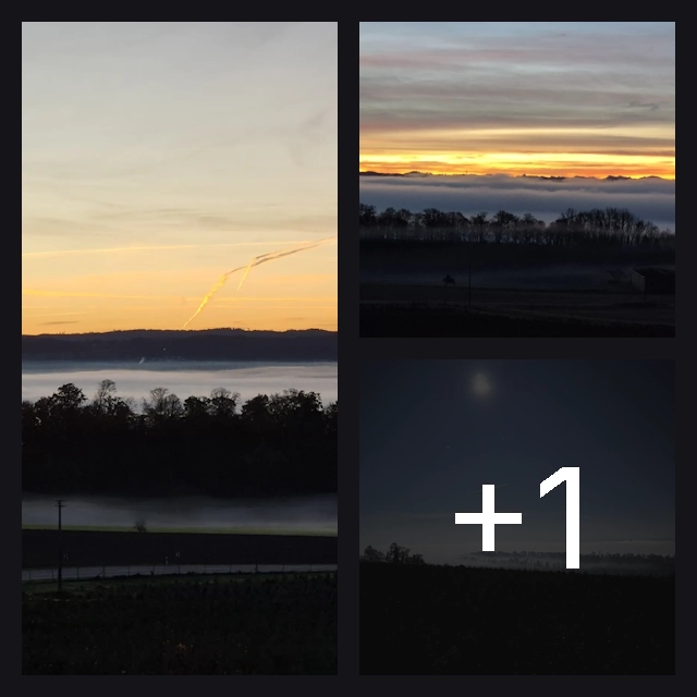 Cover Weingarten Skyline